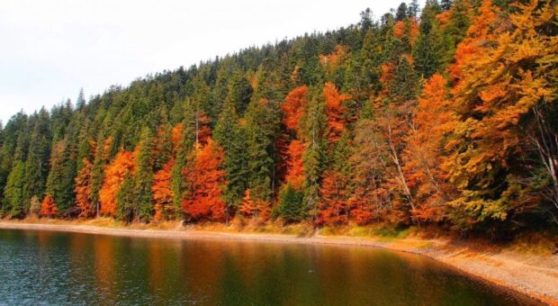 Отдых в Закарпатье осенью