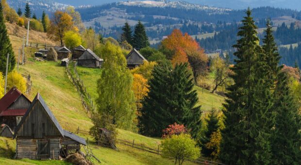 Что лечат в Сходнице