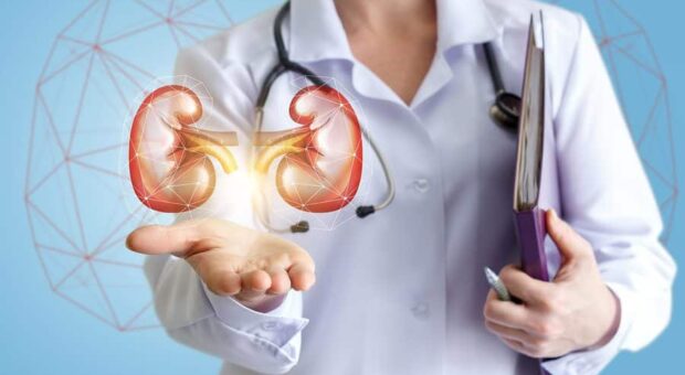 Лечение почек в Трускавце и других курортах Украины: забота о важном органе