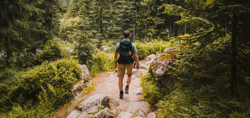 оздоровча ходьба терренкуром