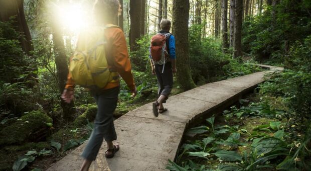 Теренкур: путівник по здоров’ю просто неба