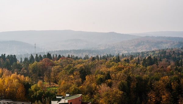 Климатотерапия в санаториях: секреты оздоровления от природы
